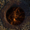 _A003627and30croofm.jpg